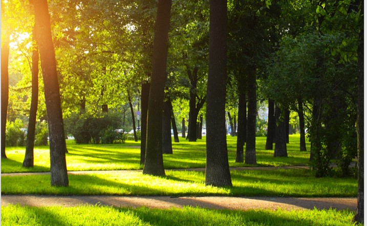 ACT Microclimate Assessment Guide