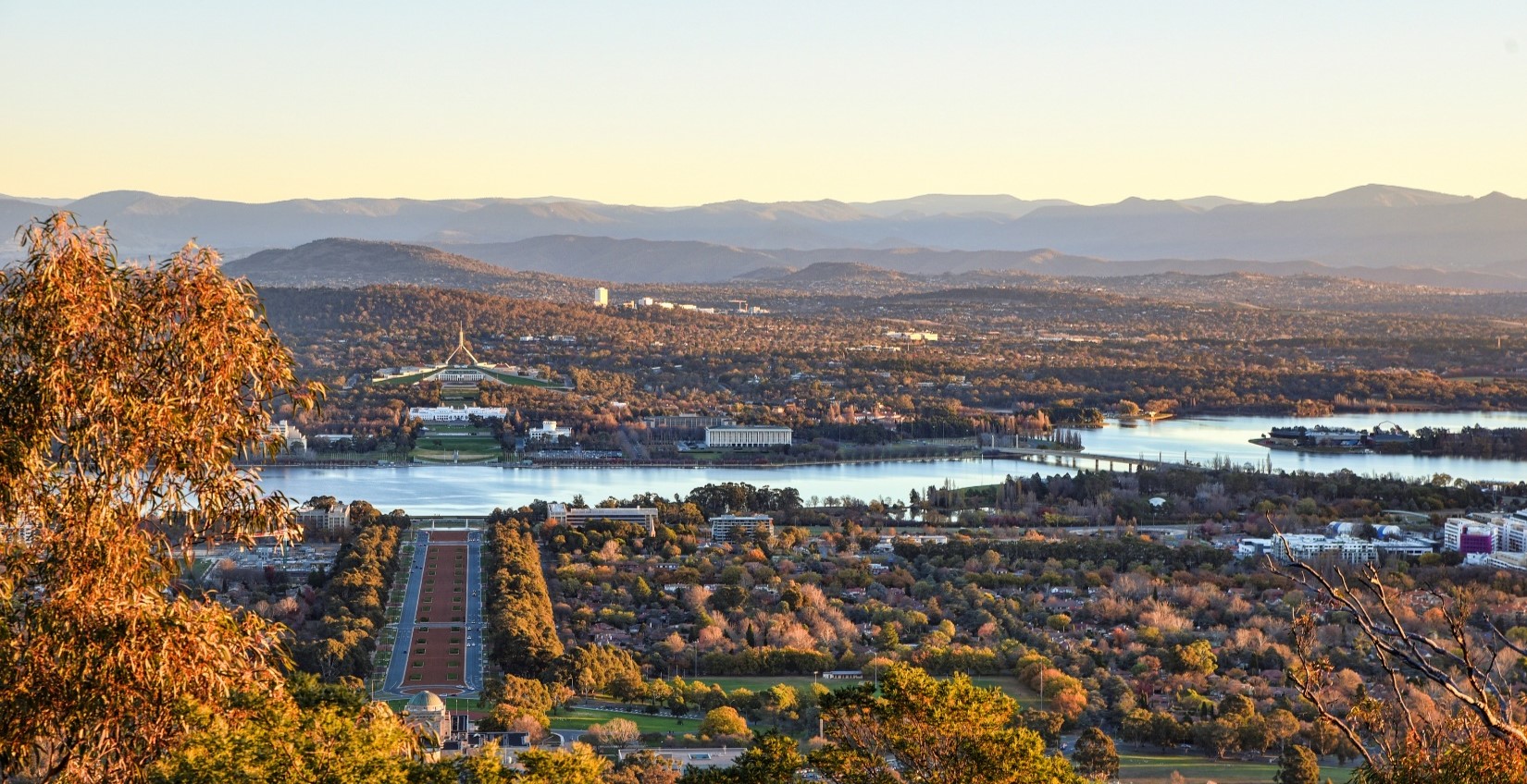 COVID19 and future cities: a research scan