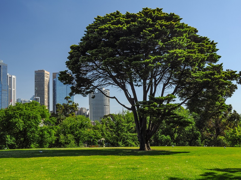 Metropolitan Open Space Strategy