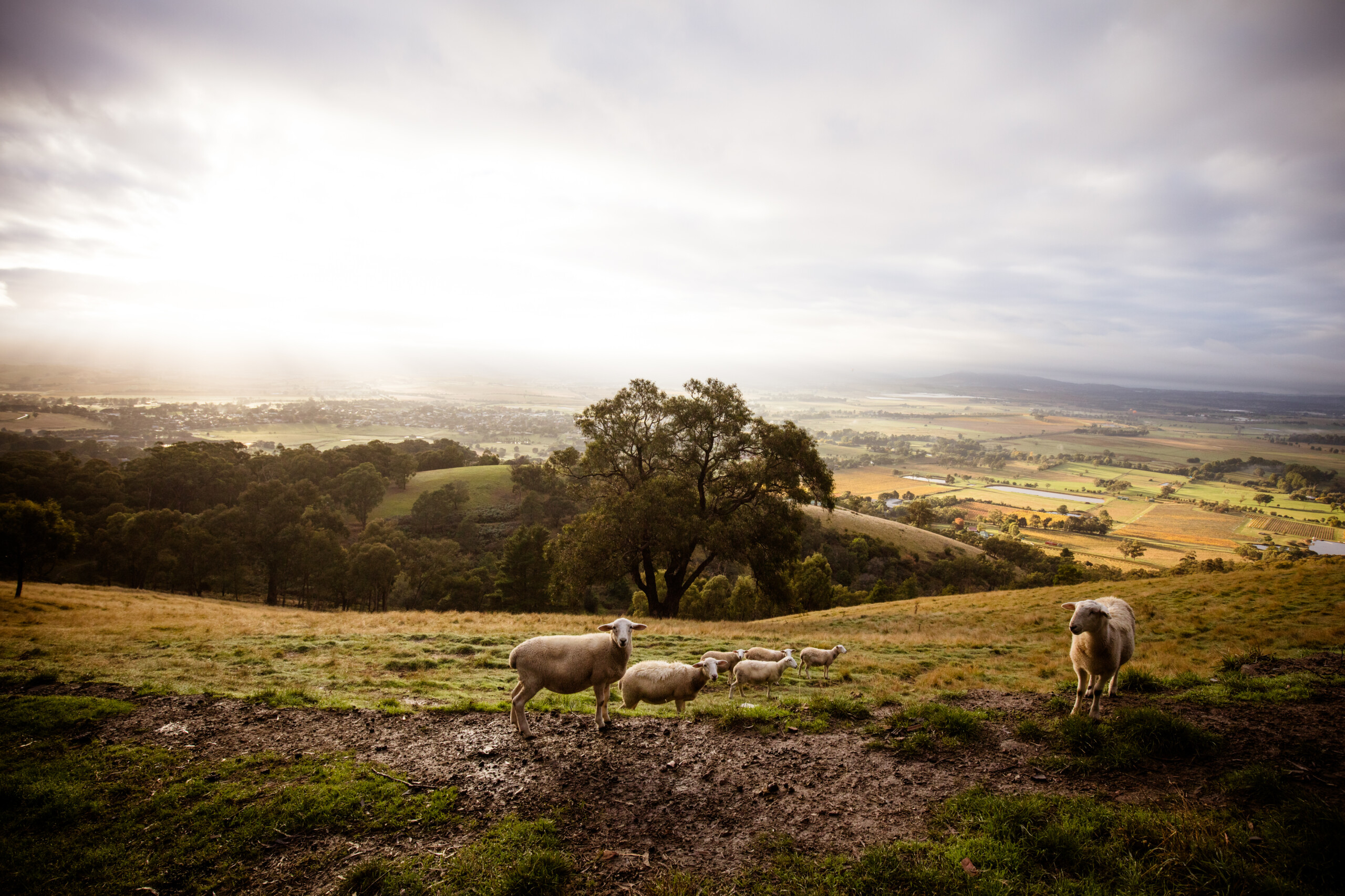 Connecting people with waterways in the Yarra valley