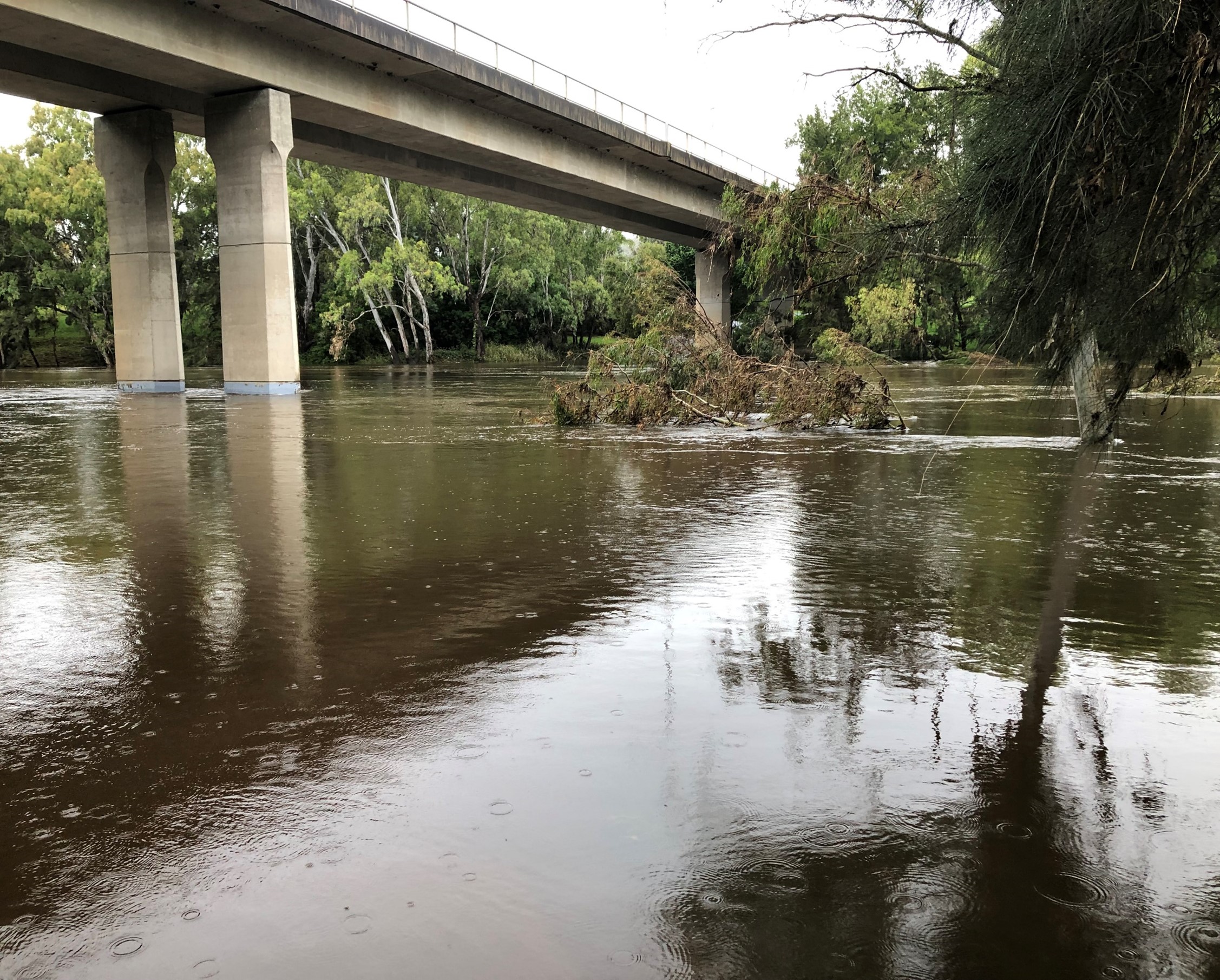 Water variability effects on northern Murray–Darling Basin communities