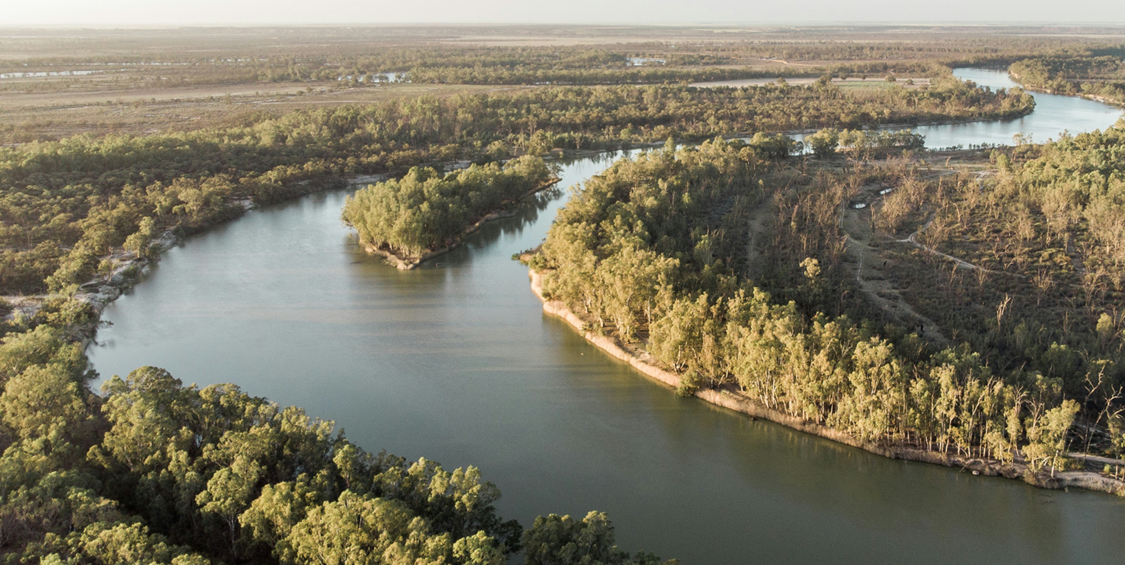 MDB Basin Plan Review Sentiment baseline and tracking